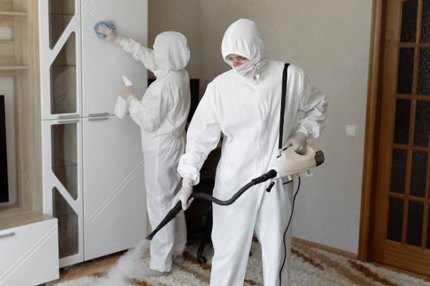 Professional Mold Removal in Waller, TX