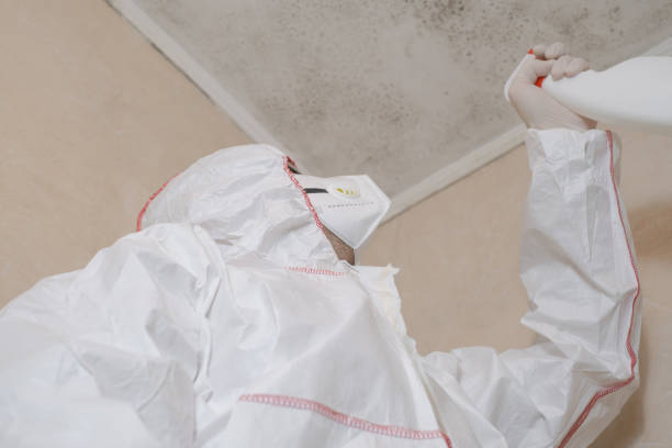 Best Toxic Mold Removal  in Waller, TX